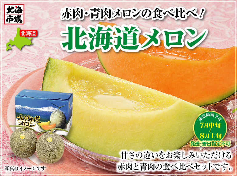 北海道メロンセット