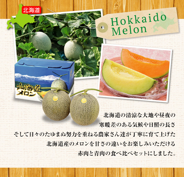 北海道メロンセット