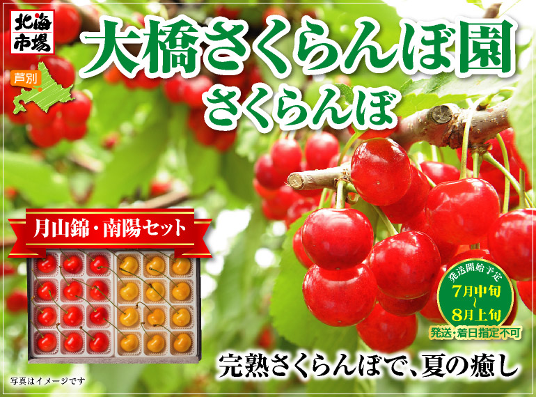 月山錦・南陽セット