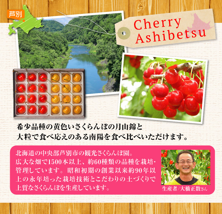 月山錦・南陽セット