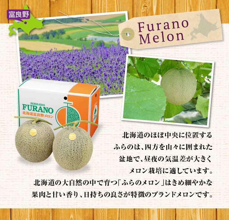 ふらのメロン