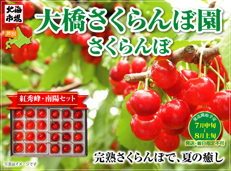 紅秀峰・南陽セット
