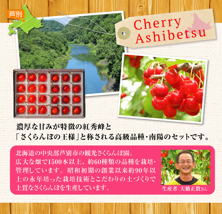 紅秀峰・南陽セット