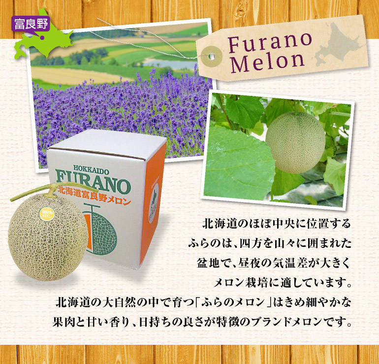 ふらのメロン