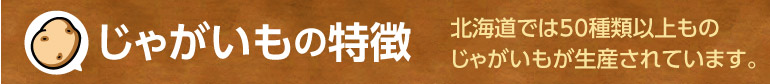 ジャガイモリストTOP