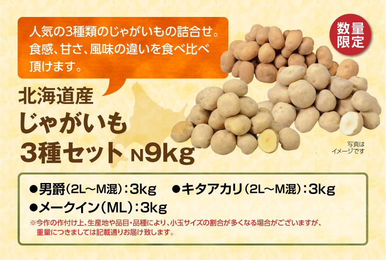北海道産  じゃがいも３種セット 9kg
