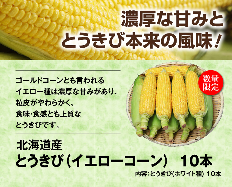 北海道産 イエローコーン