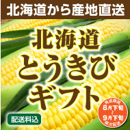 とうきびギフト